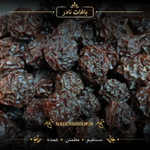 آلوچه سیاه آفتابی درجه یک | گروه نادر