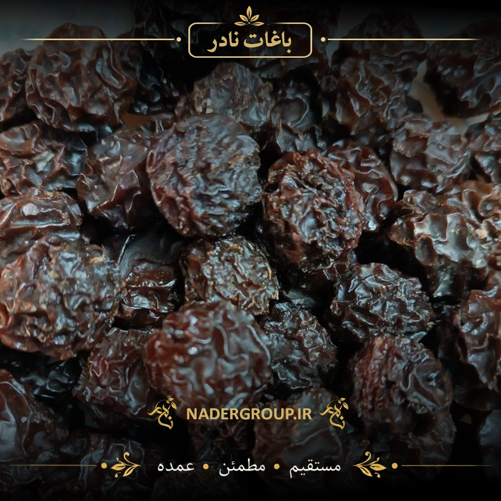 آلوچه سیاه آفتابی درجه یک | گروه نادر