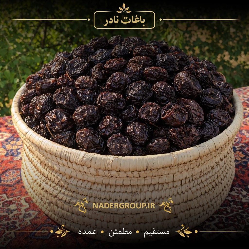 آلوچه سیاه آفتابی ممتاز | گروه نادر