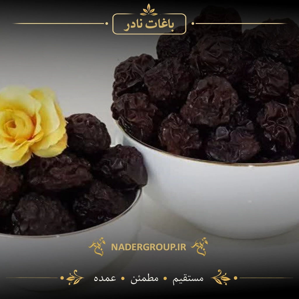آلوچه سیاه آفتابی ممتاز | گروه نادر