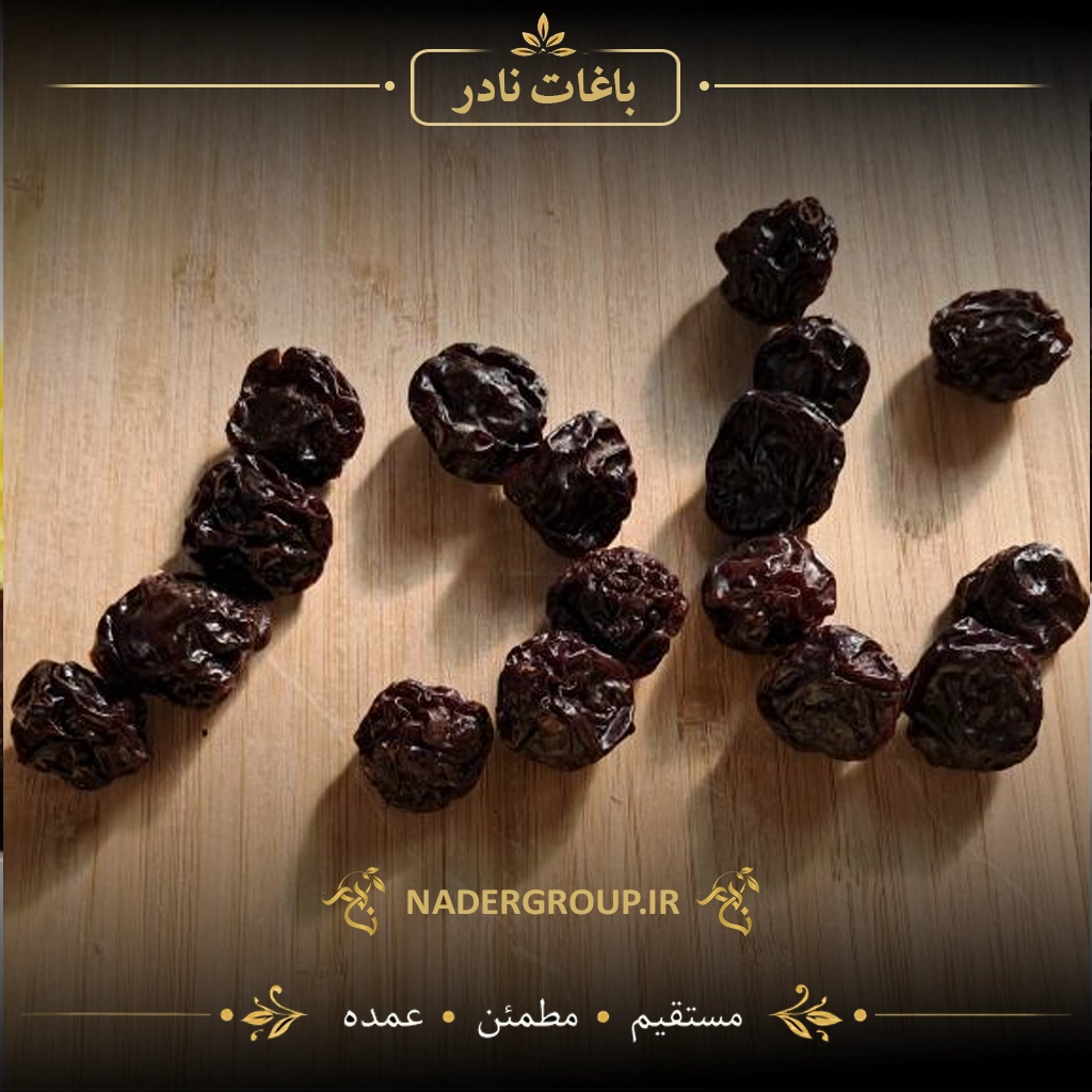 آلوچه سیاه آفتابی ممتاز | گروه نادر