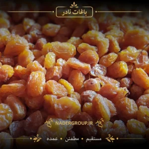 آلو زرد خشک درجه 1 | گروه نادر