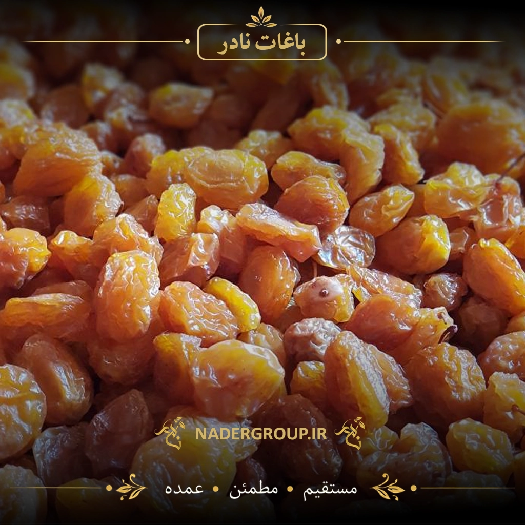 آلو زرد خشک درجه 1 | گروه نادر