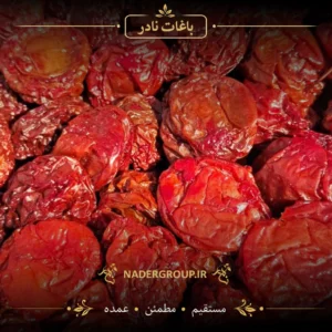 خرید آلو سانتریزه از گروه نادر