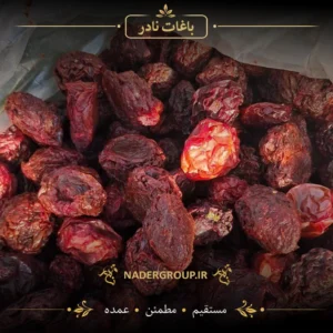 خرید آلو شابلون | گروه نادر