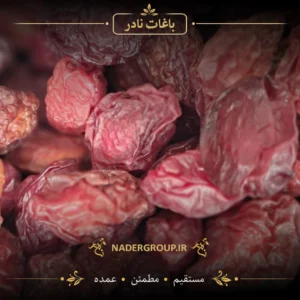 خرید آلو شرابی از گروه نادر
