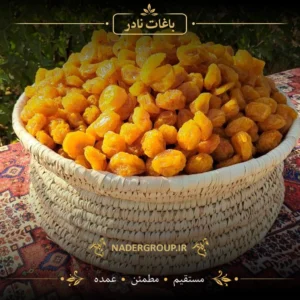 آلو زرد خشک ممتاز | نادر | گروه نادر