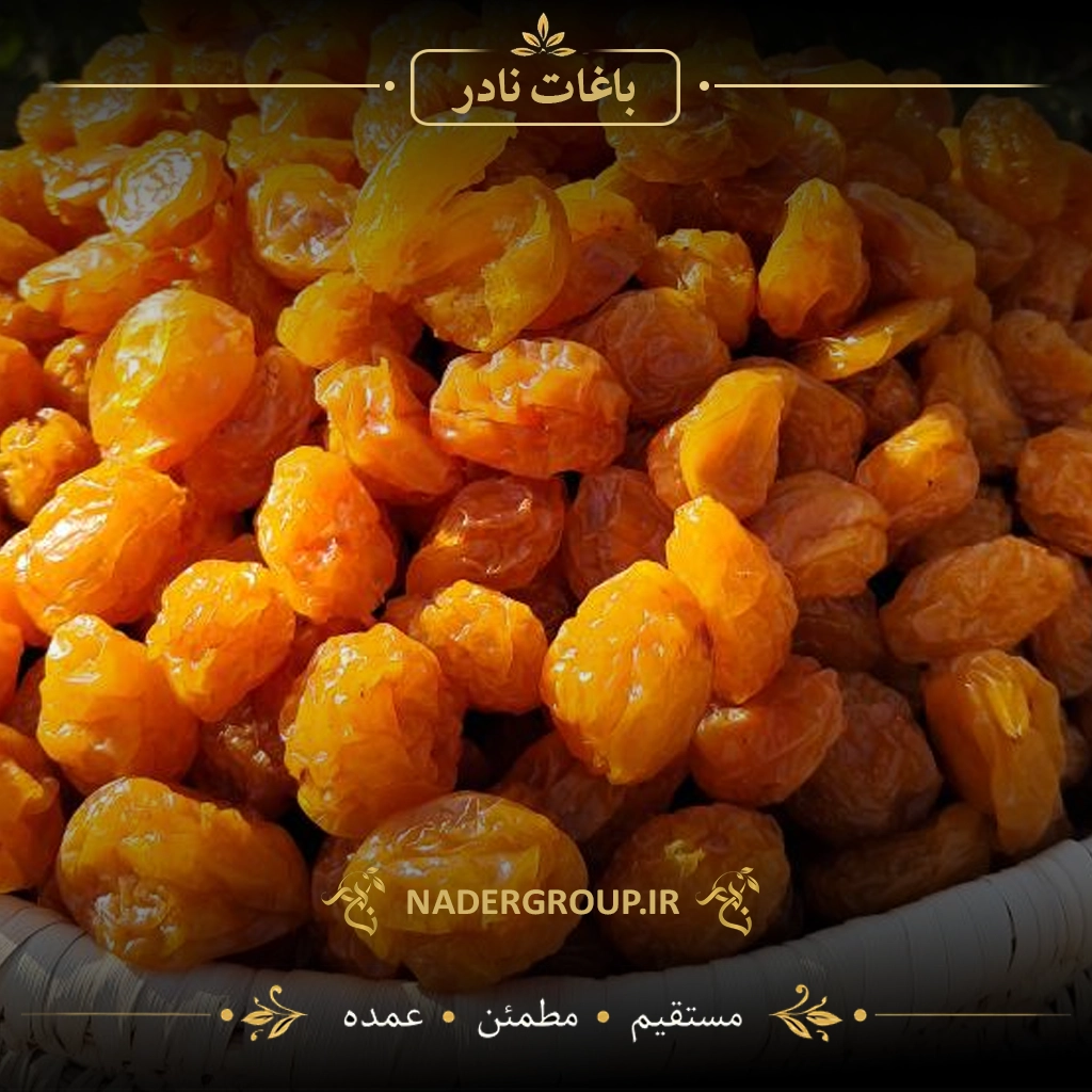 آلوزرد خشک ممتاز 3