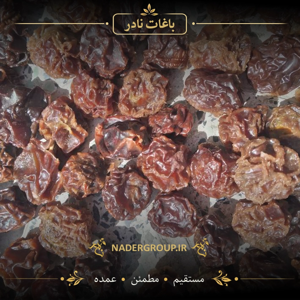 آلوچه سیاه آفتابی خشک صنعتی | گروه نادر