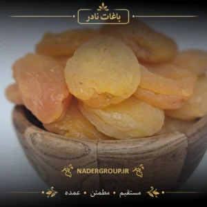 خرید قیسی زردآلوی محلی افتاب خشک ممتاز از نادر
