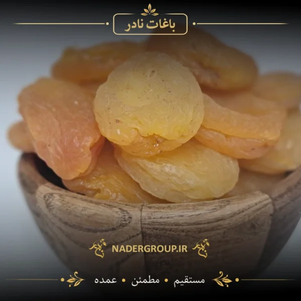 خرید قیسی زردآلوی محلی افتاب خشک ممتاز از نادر