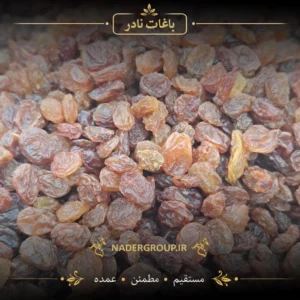 کشمش پلویی - خرید کشمش پلویی گروه نادر